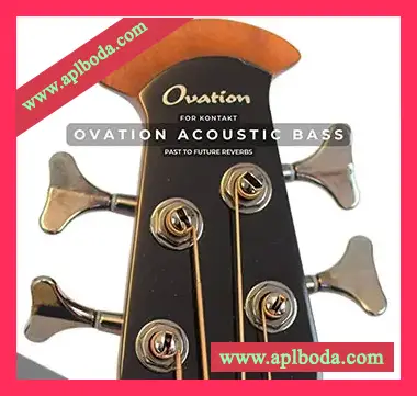 [原声贝司音源]PastToFutureReverbs Ovation Acoustic Bass [KONTAKT]（181Mb）