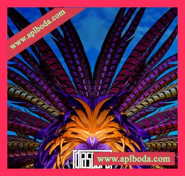[拉丁乐采样]Diaspora Soul of Calypso [WAV]（254Mb）