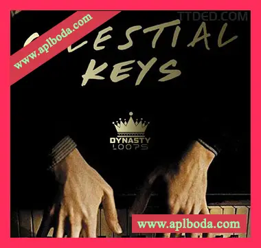 [氛围嘻哈陷阱RnB钢琴采样]Dynasty Loops Celestial Keys [WAV]（16Mb）