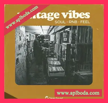 [灵魂氛围RnB采样]Origin Sound Vintage Vibes [WAV]（787Mb）