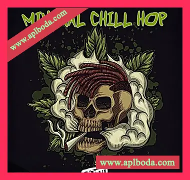 [氛围嘻哈采样]DJ 1Truth Minimal Chill Hop [WAV]（60Mb）