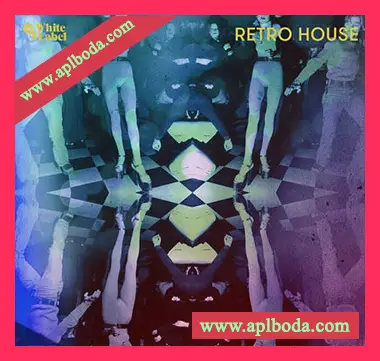 [怀旧复古浩室素材]Sample Magic Retro House [多格式]（831Mb）