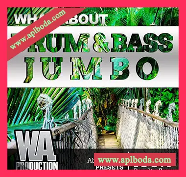 [Dubstep鼓打贝斯素材Serum预置]WA Production Drum and Bass Jumbo [多格式]（1.71Gb）