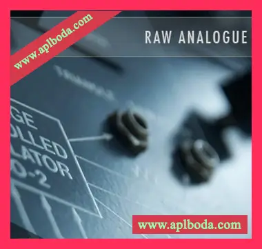 SoundsDivine Raw Analogue Series [多格式]（15.37Gb）