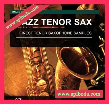 [爵士次中音萨克斯采样]Image Sounds Jazz Tenor Sax 07 [WAV]（7Mb）