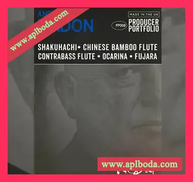 [民族长笛木管音源]Spitfire Audio Producer Portfolio Andy Findon Kit Bag [KONTAKT]（2.47Gb）