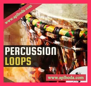 [Tribal打击乐采样]Chop Shop Samples Percussion Loops [WAV]（330Mb）