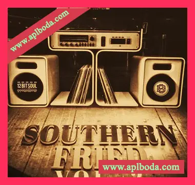 [灵魂嘻哈说唱采样]Divided Souls Southern Fried Volume 2 [WAV]（11Mb）