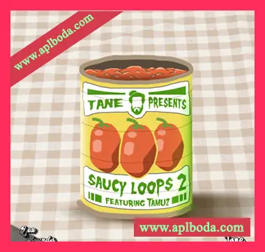 [灵魂乐采样]LEX Sounds Saucy Loops 2 [WAV]（608Mb）