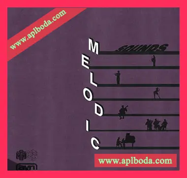 [灵魂陷阱RnB采样FL预置]AYN Sounds Melodic Sounds Multi-Kit（405Mb）