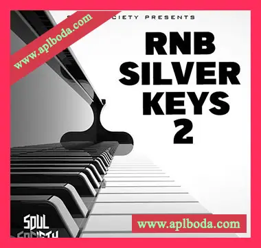 [灵魂RnB钢琴采样]Big Citi Loops RnB Silver Keys 2 [WAV]（23Mb）