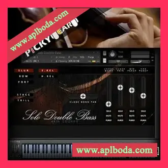 [低音提琴独奏音源]Aria Sounds London Solo Double Bass KONTAKT（2.55Gb）