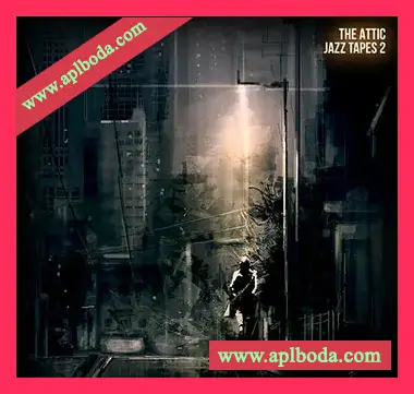 [爵士布鲁斯采样]Boom Bap Labs The Attic Jazz Tapes 2 [WAV]（40Mb）
