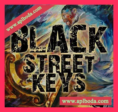 [灵魂陷阱采样]Big Citi Loops Black Street Keys [WAV]（87Mb）