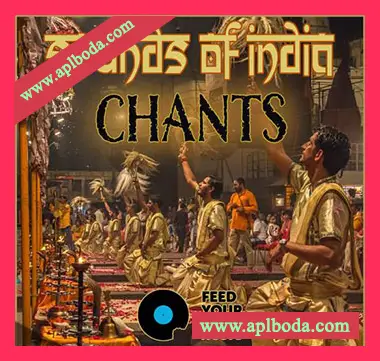 [印度民族乐人声采样]Feed Your Soul Music Chants Sounds Of India [WAV]（69Mb）