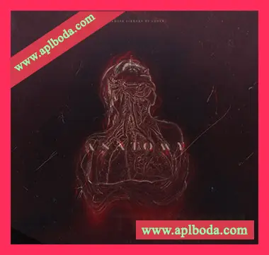 [Retro怀旧乐采样]Loner Anatomy Sample Library [WAV]（220Mb）