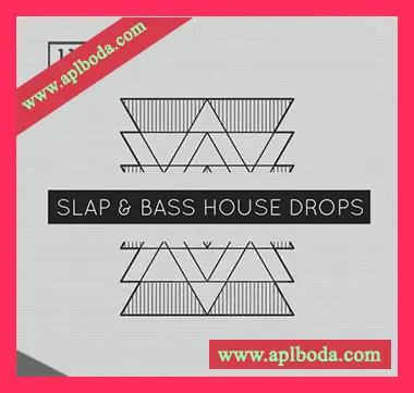 [低音浩室素材]Bingoshakerz Slap and Bass House Drops [WAV, MiDi, REX]（270Mb）