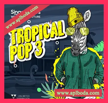 [流行热带休闲舞曲素材]Singomakers Tropical Pop 3 [WAV, REX]（1.25Gb）