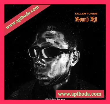 [非洲节奏采样]Splice Sounds EmPawa Presents KILLERTUNES Sample Pack [WAV]（164Mb）