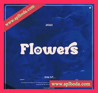[Trap陷阱素材Ableton模板]nolyrics FLOWERS [WAV, MiDi]（2.06Gb）