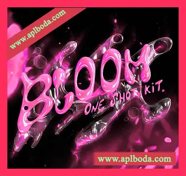 [流行嘻哈陷阱采样]Sunboy Bloom One Shot Kit [WAV]（14Mb）