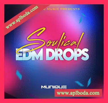[电子舞曲采样]Innovative Samples Soulical Edm Drops [WAV]（83Mb）