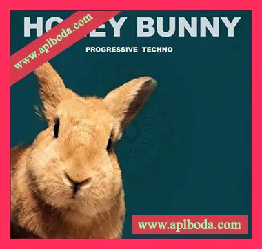 [高科技舞曲采样]Honey Bunny Progressive Techno [WAV]（227Mb）