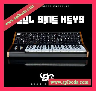 [RnB键盘合成音色采样]Big Citi Loops Soul Sine Keys [WAV]（190Mb）
