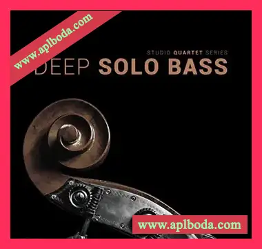 [独奏贝斯音源]8Dio Studio Quartet Series Deep Solo Bass [KONTAKT]（8.62Gb）