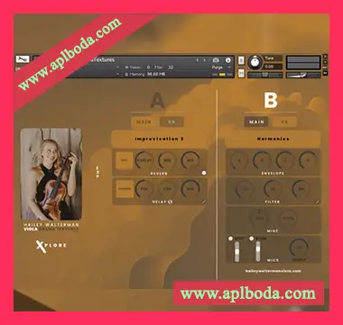 [中提琴戏剧纹理音源]Inletaudio Viola Drama Textures [KONTAKT]（3.66Gb）