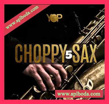 [爵士布鲁斯萨克斯采样]Big Citi Loops Choppy Sax 5 [WAV]（30Mb）