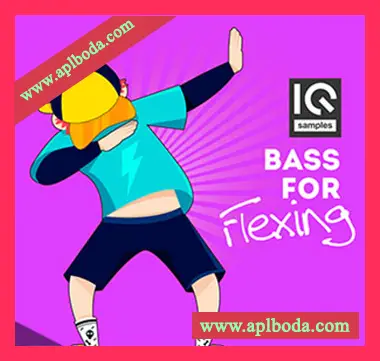 [House浩室采样]IQ Samples Bass For Flexing [WAV]（328Mb）