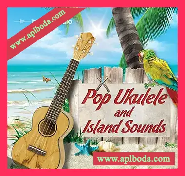 [流行尤克里里素材]Big Fish Audio Pop Ukulele and Island Sounds [ACiD, WAV, REX, Stylus RMX, AiFF]（1.33Gb）