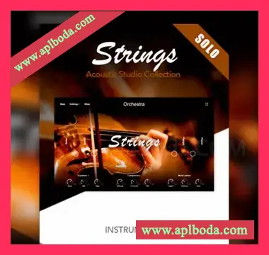 [弦乐独奏音源]Muze Strings Solo [KONTAKT]（11.4Gb）