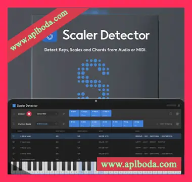 [和弦调性音阶识别检测工具]Scaler Music Scaler Detector v1.0.0 Regged [WiN]（47.8Mb）