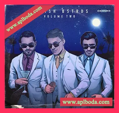[嘻哈说唱采样]DopeBoyzMuzic Lavish BSTRDS Soulful Melodies Vol.2 [WAV]（450Mb）