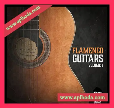 [拉丁乐吉他采样]Vanilla Groove Studios Flamenco Guitars Vol.1 [WAV]（45Mb）