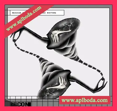 [Electronic电子乐采样]Rubicon Mexican Club and Prehispanic Rhythms [WAV]（330Mb）