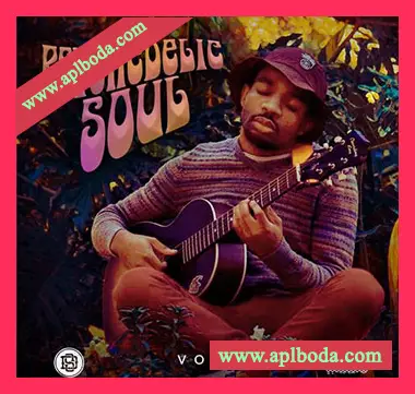 [灵魂RnB吉他采样]Divided Souls Psychedelic Soul [WAV]（32Mb）