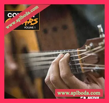 [乡村民谣吉他采样]New Beard Media Country Guitars Vol 1 [WAV]（219Mb）