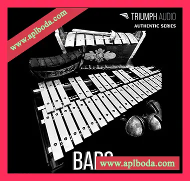 [民族中国西藏编钟钟琴动态音调打击乐器音源]Triumph Audio Bars [KONTAKT]（1.57Gb）