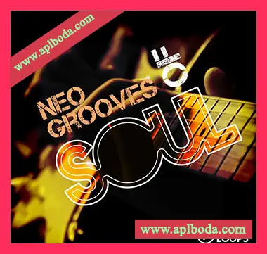 [灵魂RnB素材]All Pro Loops Neo Grooves Of Soul [WAV, MiDi]（301.86Mb）