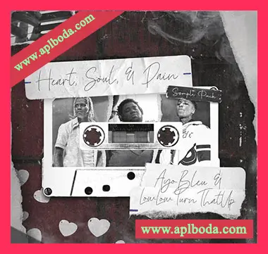 [灵魂RnB采样]Ayo Bleu Heart, Soul and Pain Sample Kit [WAV]（122Mb）