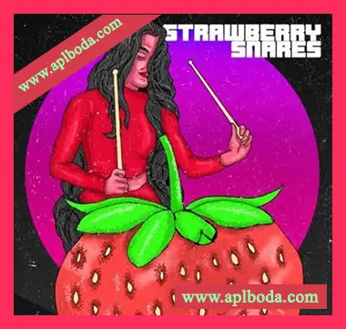[流行嘻哈RnB军鼓采样]Sound of Milk and Honey Strawberry Snares [WAV]（12Mb）