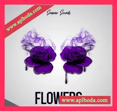 [EDM素材Sylenth1预置Serum预置Nexus预置]Smemo Sounds Flowers [WAV, MiDi]（509Mb）