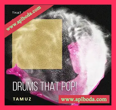 [流行放克迪斯科鼓组采样]That Sound Drums That Pop [WAV]（838Mb）