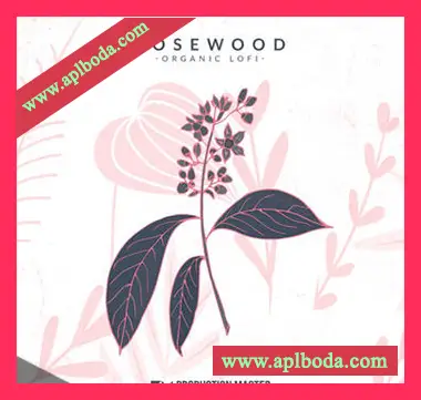 [低保真氛围爵士嘻哈采样]Production Master Rosewood Organic Lo-fi [WAV]（1.05Gb）