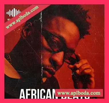 [流行拉丁采样]Seven Sounds African Beats [WAV]（139Mb）