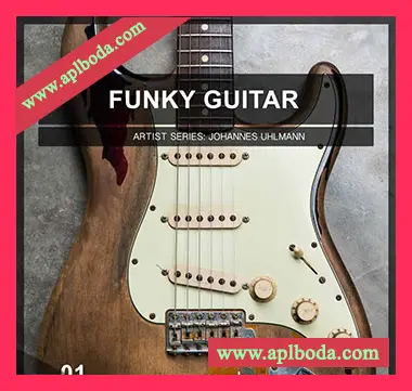 [Funky吉他采样]Image Sounds Artist Series Johannes Uhlmann Funky Guitar 01 [WAV]（433Mb）