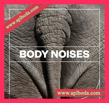 [人体噪声FX采样]Blastwave FX Body Noises [WAV]（285Mb）